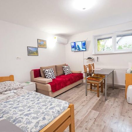 Newly Renovated Studio With Air Conditioner & Free Parking Ljubljana Bagian luar foto
